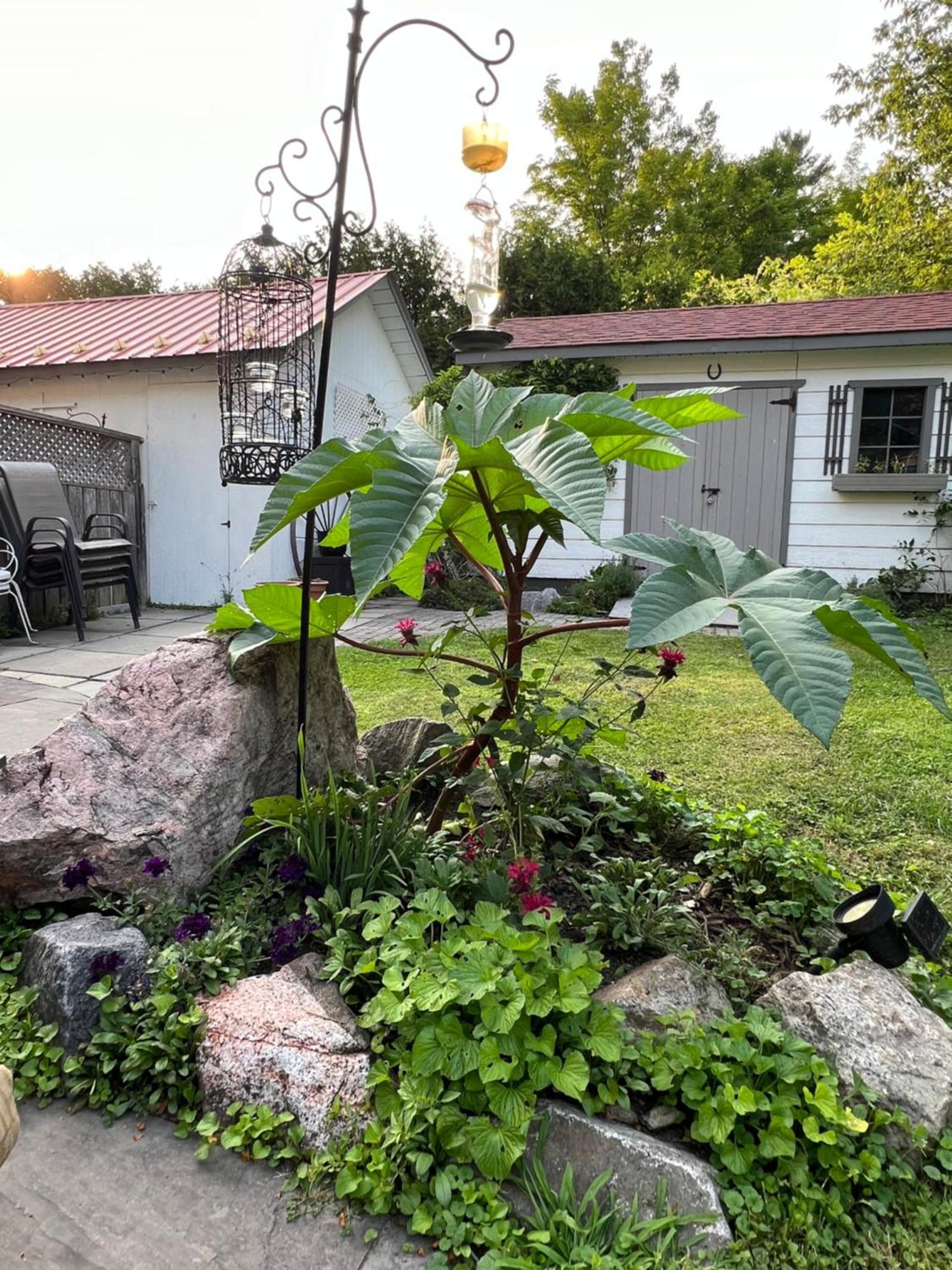 Les Trois Erables Boutique Inn Wakefield Bagian luar foto